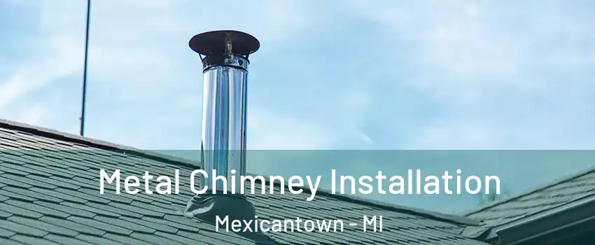 Metal Chimney Installation Mexicantown - MI