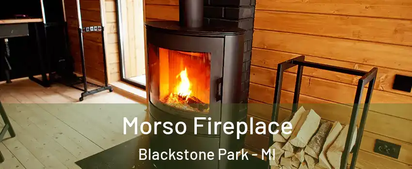 Morso Fireplace Blackstone Park - MI