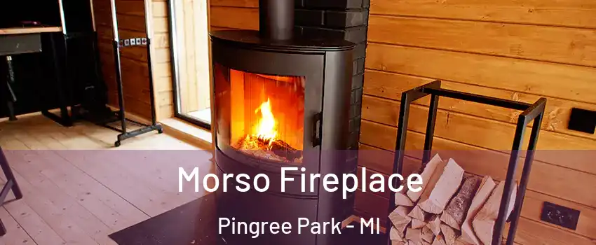 Morso Fireplace Pingree Park - MI