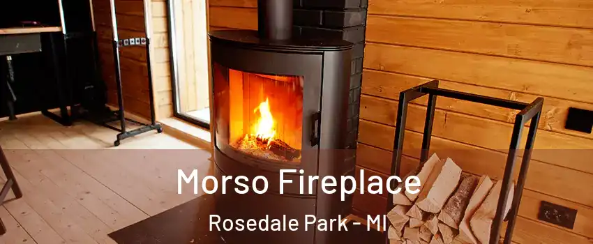 Morso Fireplace Rosedale Park - MI