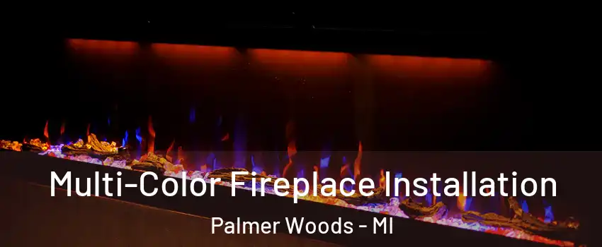 Multi-Color Fireplace Installation Palmer Woods - MI