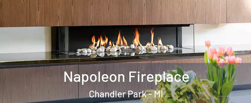 Napoleon Fireplace Chandler Park - MI