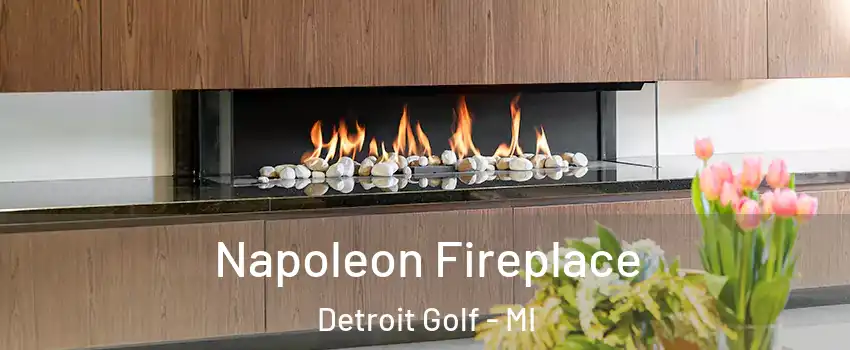 Napoleon Fireplace Detroit Golf - MI