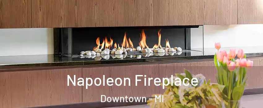 Napoleon Fireplace Downtown - MI