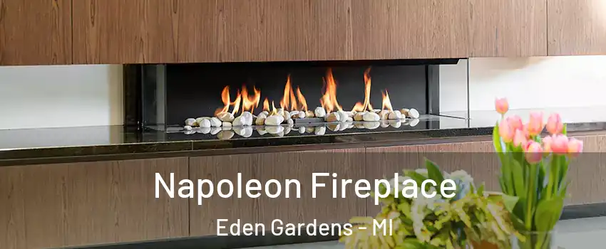 Napoleon Fireplace Eden Gardens - MI