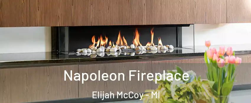 Napoleon Fireplace Elijah McCoy - MI