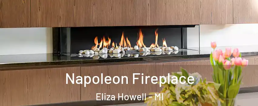 Napoleon Fireplace Eliza Howell - MI