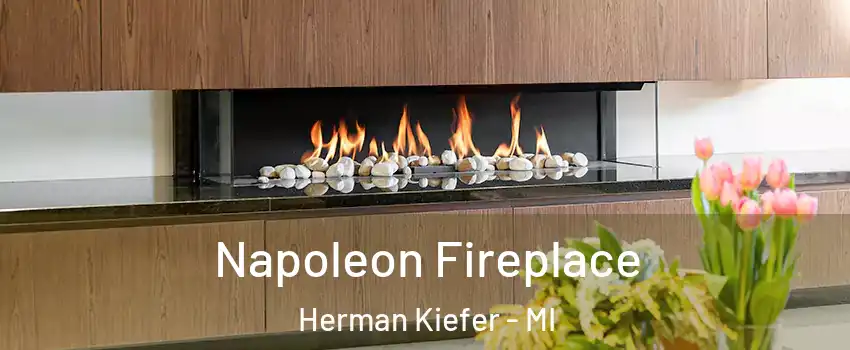 Napoleon Fireplace Herman Kiefer - MI