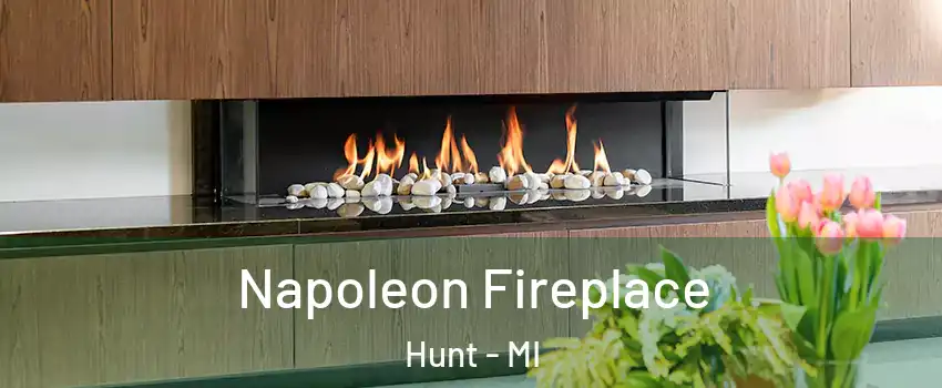 Napoleon Fireplace Hunt - MI