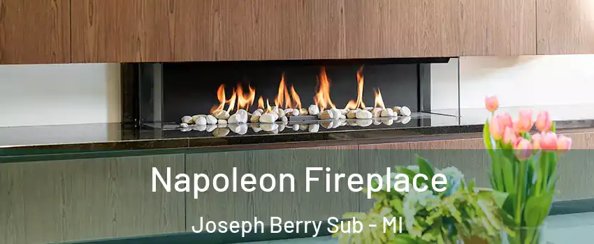 Napoleon Fireplace Joseph Berry Sub - MI