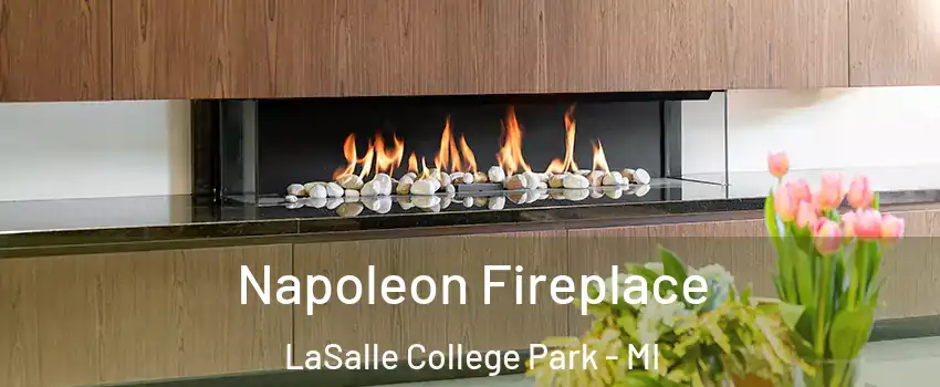 Napoleon Fireplace LaSalle College Park - MI