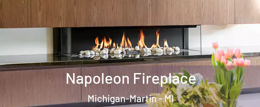 Napoleon Fireplace Michigan-Martin - MI