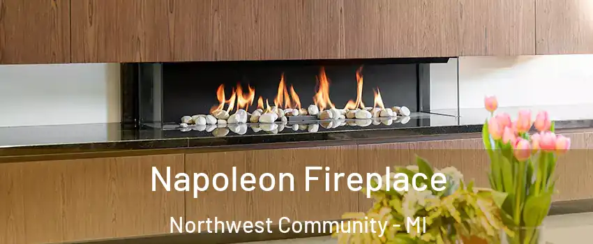 Napoleon Fireplace Northwest Community - MI