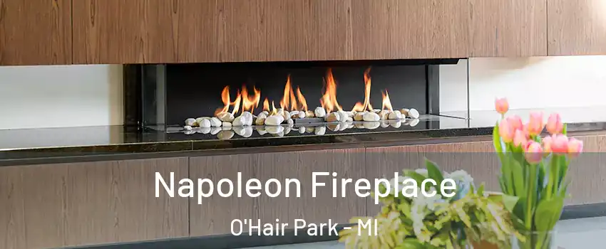 Napoleon Fireplace O'Hair Park - MI