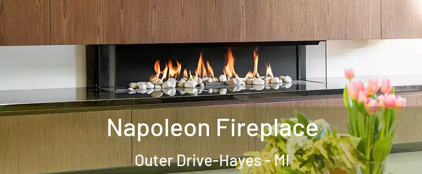 Napoleon Fireplace Outer Drive-Hayes - MI