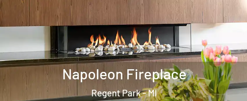 Napoleon Fireplace Regent Park - MI