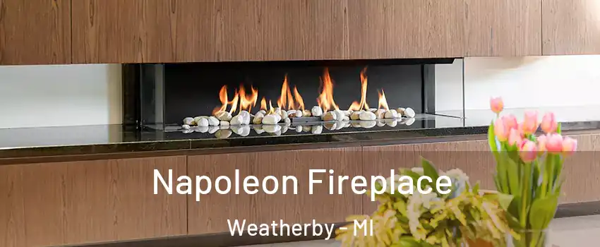 Napoleon Fireplace Weatherby - MI