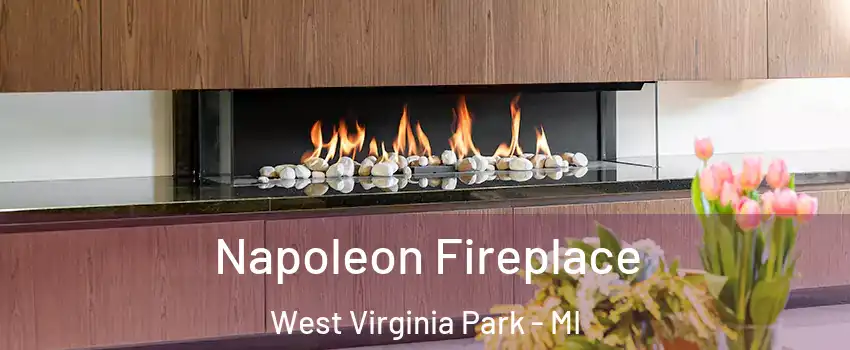 Napoleon Fireplace West Virginia Park - MI