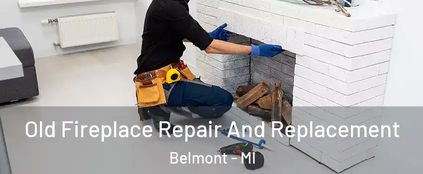 Old Fireplace Repair And Replacement Belmont - MI