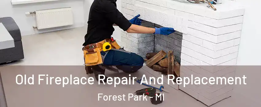 Old Fireplace Repair And Replacement Forest Park - MI