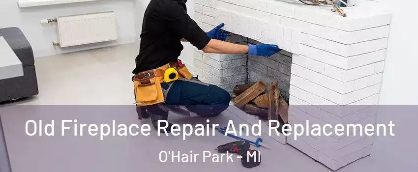 Old Fireplace Repair And Replacement O'Hair Park - MI