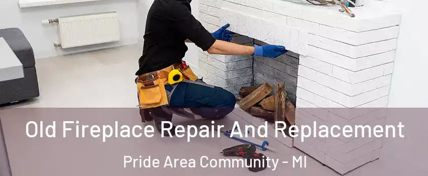 Old Fireplace Repair And Replacement Pride Area Community - MI