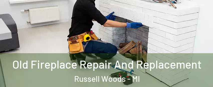 Old Fireplace Repair And Replacement Russell Woods - MI