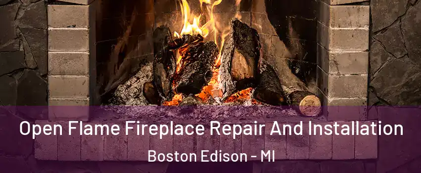 Open Flame Fireplace Repair And Installation Boston Edison - MI