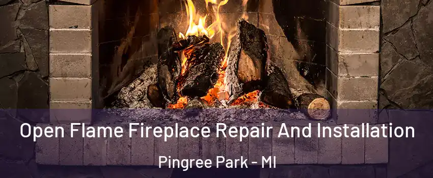 Open Flame Fireplace Repair And Installation Pingree Park - MI