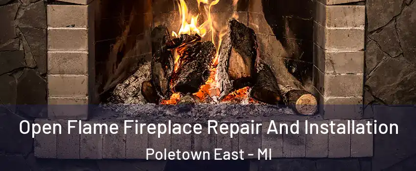 Open Flame Fireplace Repair And Installation Poletown East - MI