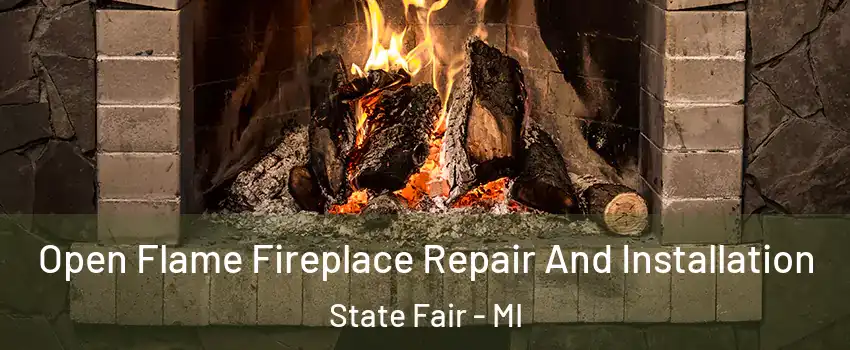 Open Flame Fireplace Repair And Installation State Fair - MI