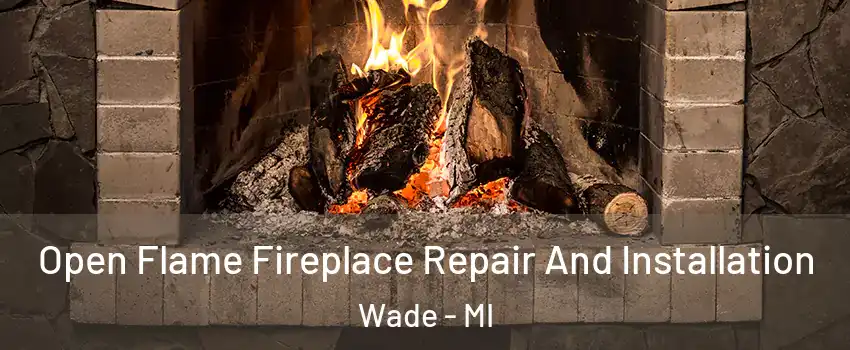 Open Flame Fireplace Repair And Installation Wade - MI