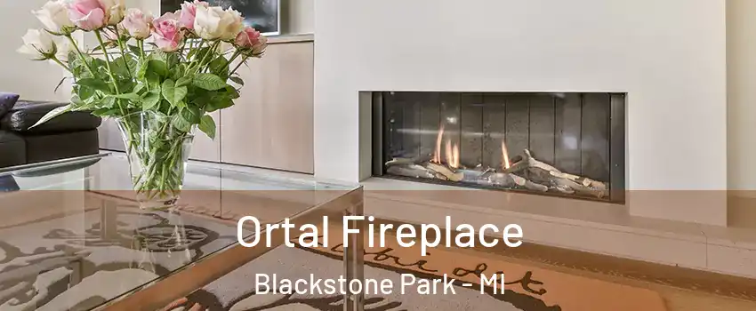 Ortal Fireplace Blackstone Park - MI