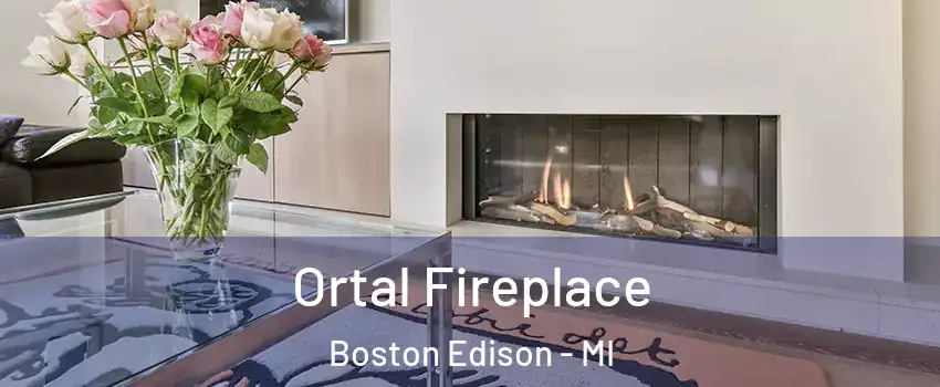 Ortal Fireplace Boston Edison - MI