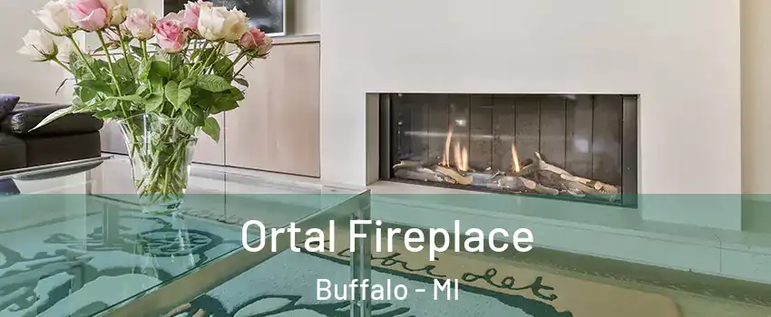 Ortal Fireplace Buffalo - MI