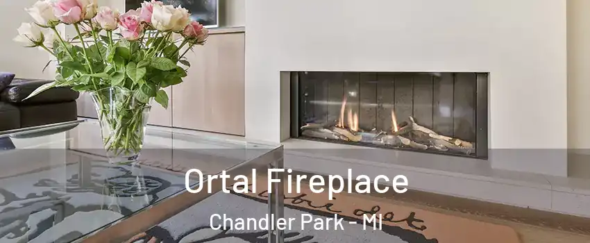 Ortal Fireplace Chandler Park - MI