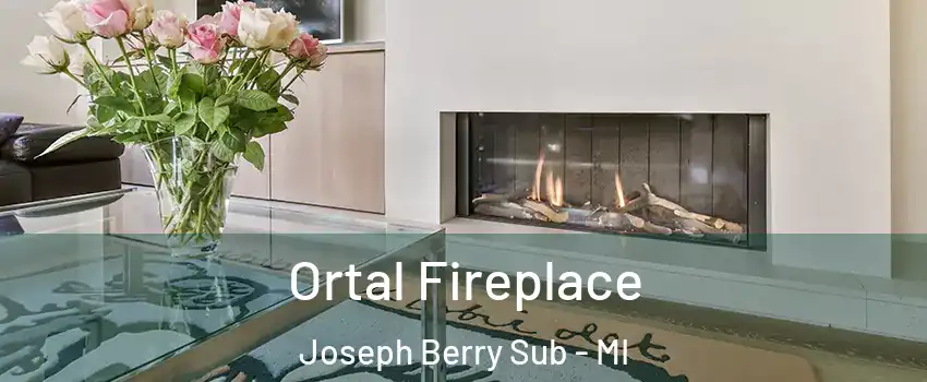 Ortal Fireplace Joseph Berry Sub - MI