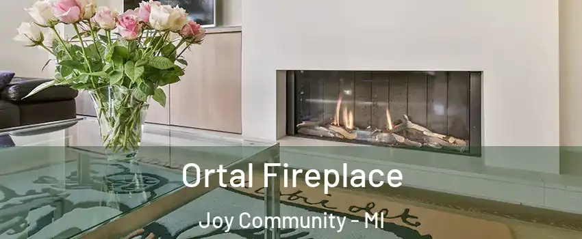 Ortal Fireplace Joy Community - MI