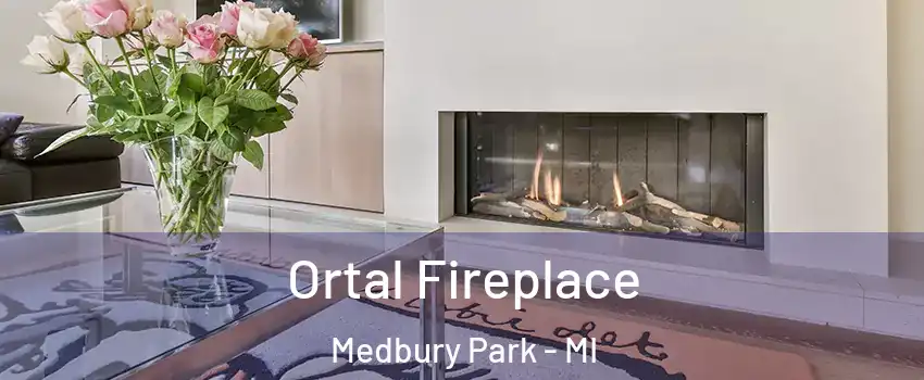 Ortal Fireplace Medbury Park - MI