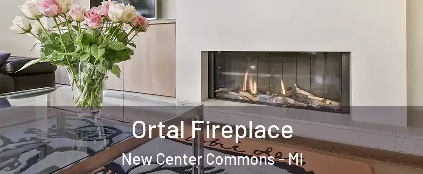 Ortal Fireplace New Center Commons - MI