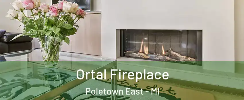 Ortal Fireplace Poletown East - MI