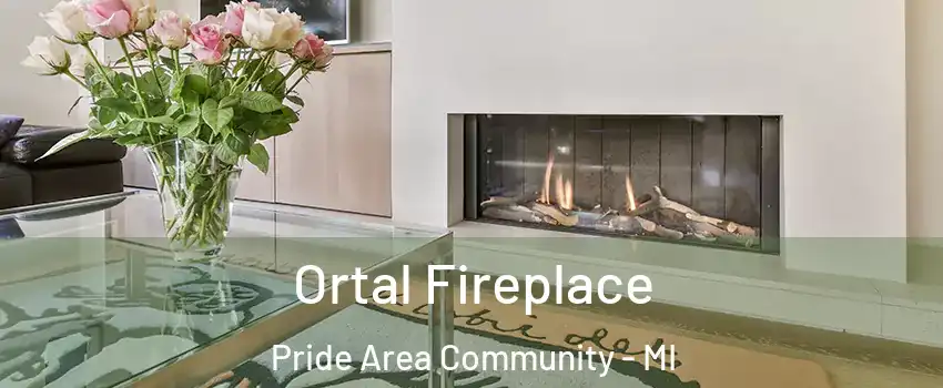 Ortal Fireplace Pride Area Community - MI