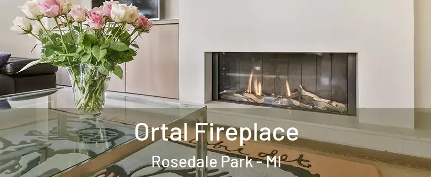 Ortal Fireplace Rosedale Park - MI