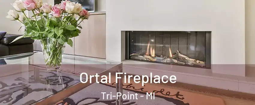 Ortal Fireplace Tri-Point - MI