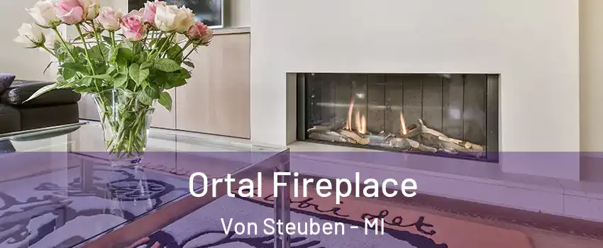 Ortal Fireplace Von Steuben - MI