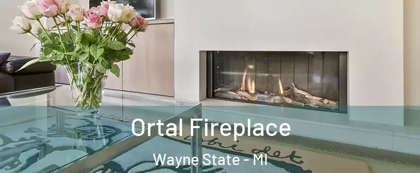 Ortal Fireplace Wayne State - MI