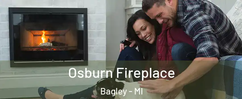 Osburn Fireplace Bagley - MI