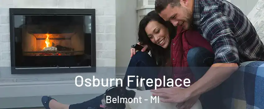 Osburn Fireplace Belmont - MI