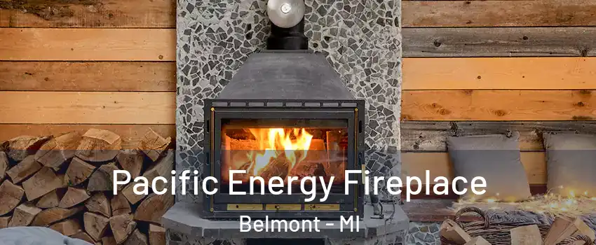 Pacific Energy Fireplace Belmont - MI