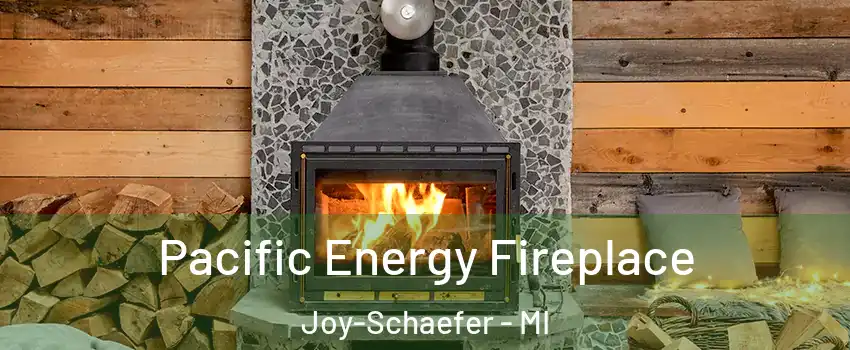 Pacific Energy Fireplace Joy-Schaefer - MI